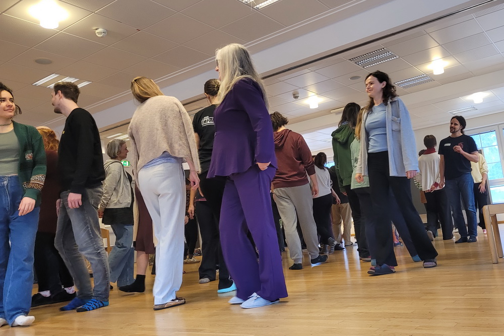 Die Improsanten beim BLINK-Festival 2026