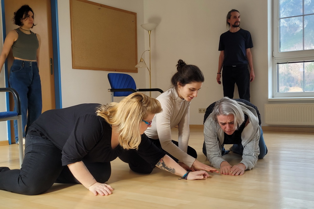 Die Improsanten beim BLINK-Festival 2026